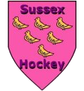 Sussex Open League